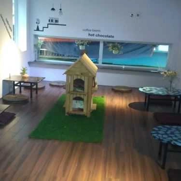 Tổng hợp- Cafe Trà Sữa Alishan