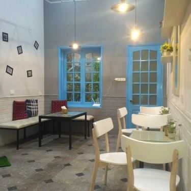 Tổng hợp- Cafe Trà Sữa Alishan