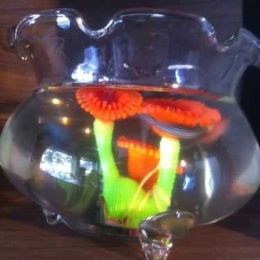 Tổng hợp- Cafe Trà Sữa Bobapop - Đào Tấn