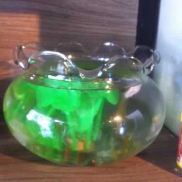 Tổng hợp- Cafe Trà Sữa Bobapop - Đào Tấn