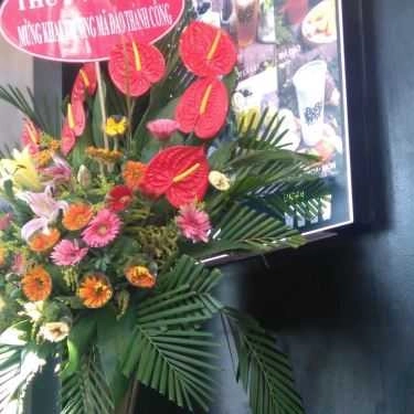 Tổng hợp- Cafe Trà Sữa Bobapop - Trần Nguyên Hãn