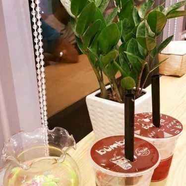 Món ăn- Cafe Trà Sữa Bumba - Đường Láng