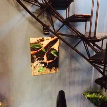 Tổng hợp- Cafe Chachago - Trà Sữa Đài Loan - Phố Huế