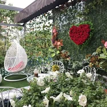 Tổng hợp- Cafe Trà Sữa Chapi Tea