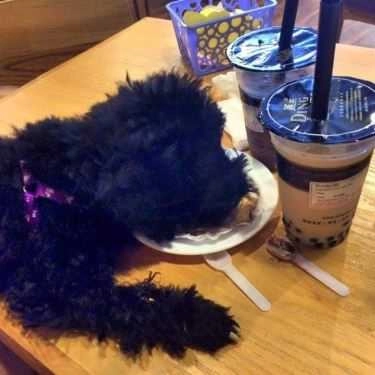 Tổng hợp- Cafe Ding Tea - Lê Văn Hiến