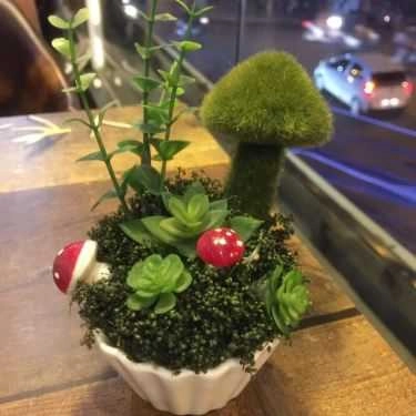 Tổng hợp- Cafe Trà Sữa Fancha