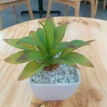 Tổng hợp- Cafe Trà Sữa Finncha