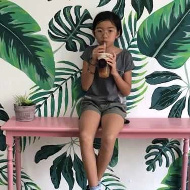 Tổng hợp- Cafe Trà Sữa Mama Sugar