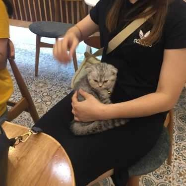Tổng hợp- Cafe Trà Sữa Teaholic - Lê Thanh Nghị