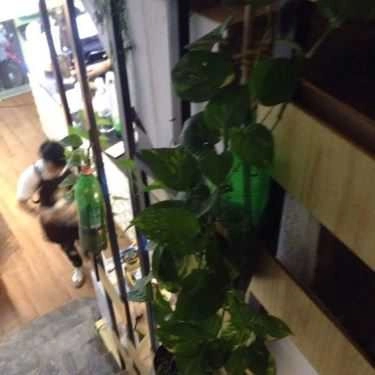 Tổng hợp- Cafe Trà Sữa Tocotoco - Đường Láng