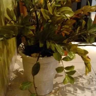 Tổng hợp- Cafe Trà Sữa TocoToco - Nguyễn Khang