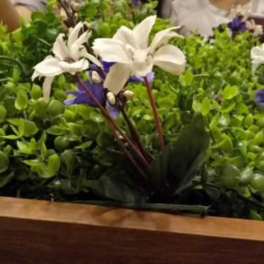 Tổng hợp- Cafe Trà Sữa Tocotoco - Nguyễn Xiển