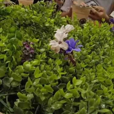 Tổng hợp- Cafe Trà Sữa Tocotoco - Nguyễn Xiển