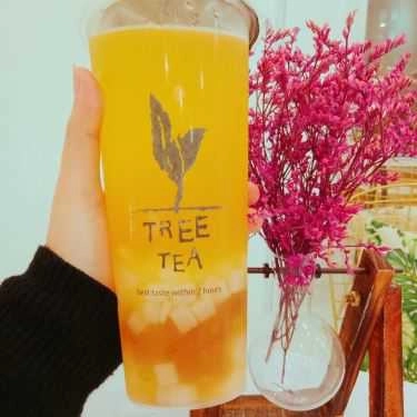Món ăn- Cafe Trà Sữa Tree Tea