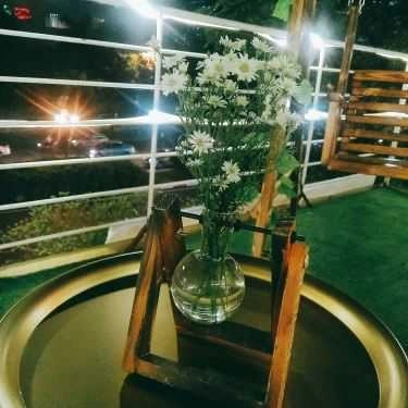 Tổng hợp- Cafe Trà Sữa Tree Tea