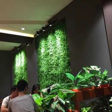 Tổng hợp- Cafe Trà Sữa Viet's Drink