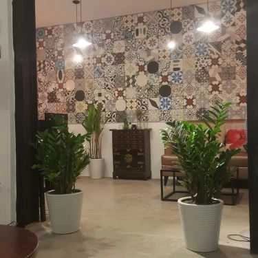 Tổng hợp- Tracce Tea And Coffee Shop