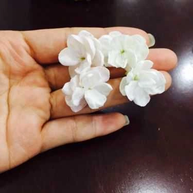 Tổng hợp- Trạm Xăng Coffee