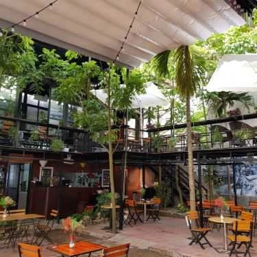 Tổng hợp- Trần Gia Trang - Coffee & Music