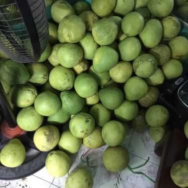 Tổng hợp- Cafe Trang Juice - Sinh Tố & Nước Ép