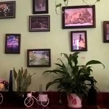 Tổng hợp- Tree Cafe