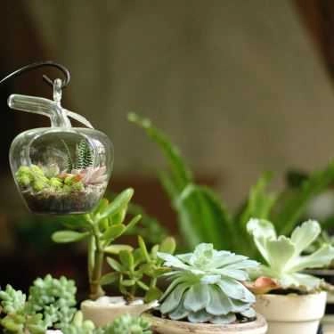 Tổng hợp- Tree Cafe