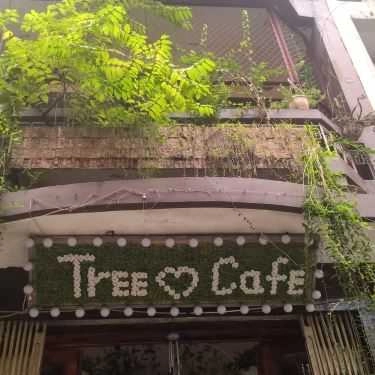 Tổng hợp- Tree Cafe