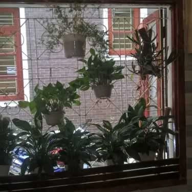 Tổng hợp- Tree Cafe