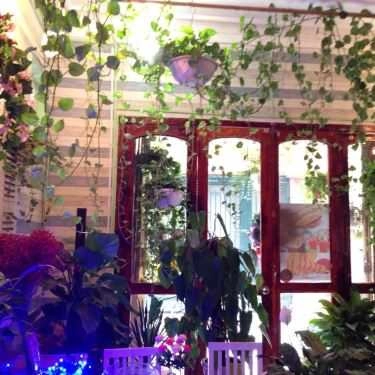 Tổng hợp- Tree Cafe