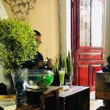 Tổng hợp- Tree Cafe