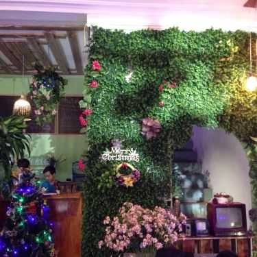 Tổng hợp- Tree Cafe
