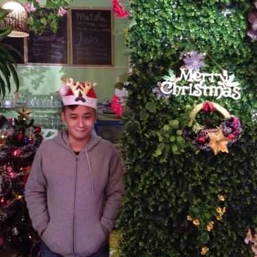Tổng hợp- Tree Cafe