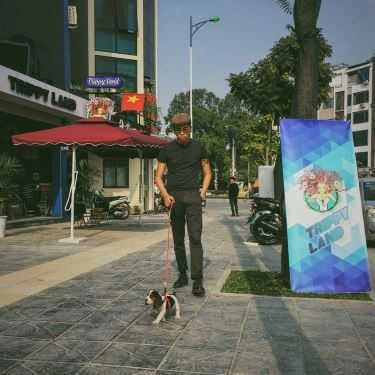 Tổng hợp- Cafe Trippy Land Drinks - Nguyễn Văn Huyên