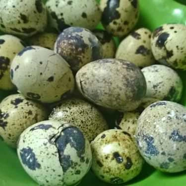 Món ăn- Ăn vặt Tuấn Hằng - Bánh Bao Chiên & Nem Chua Rán