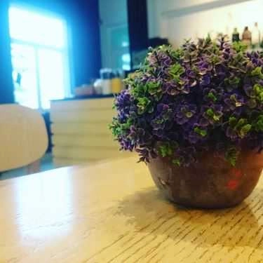Tổng hợp- Up's Coffee