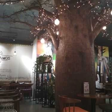 Tổng hợp- Vamos Cafe