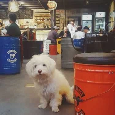 Tổng hợp- Cafe Vietgangz Familia Hà Nội