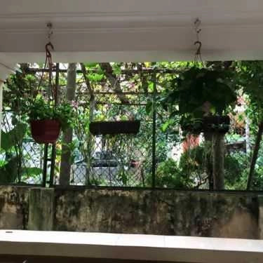 Tổng hợp- Vietlesson Coffee House