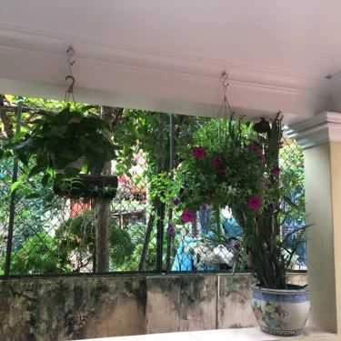 Tổng hợp- Vietlesson Coffee House