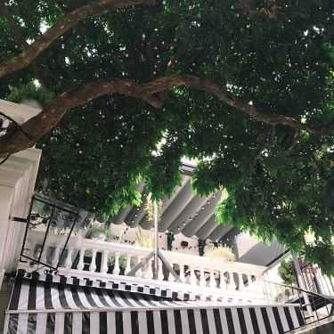 Tổng hợp- Cafe Villa Des Fleurs - Tea & CupCake