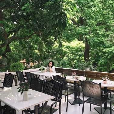 Tổng hợp- Cafe Villa Des Fleurs - Tea & CupCake
