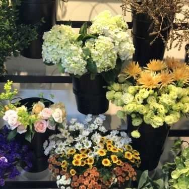 Tổng hợp- Cafe Villa Des Fleurs - Tea & CupCake