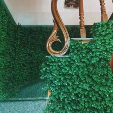 Tổng hợp- Cafe Wang Tea - Trà Sữa Đài Loan