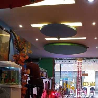 Tổng hợp- Why Not Coffee - Tôn Thất Tùng
