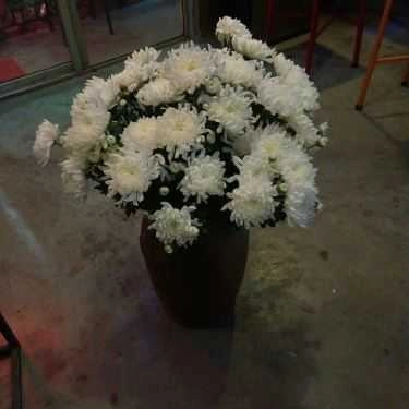 Tổng hợp- X.zone Cafe - X98 Hoàng Cầu
