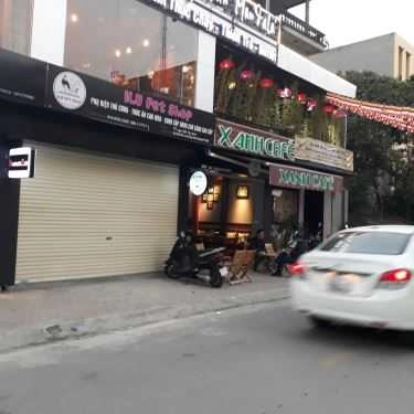 Tổng hợp- Xanh Cafe - Tây Sơn