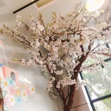 Tổng hợp- Cafe Xing Cha - Trung Kính