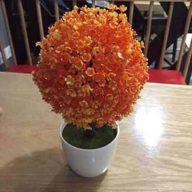 Tổng hợp- Cafe Xing Cha - Trung Kính