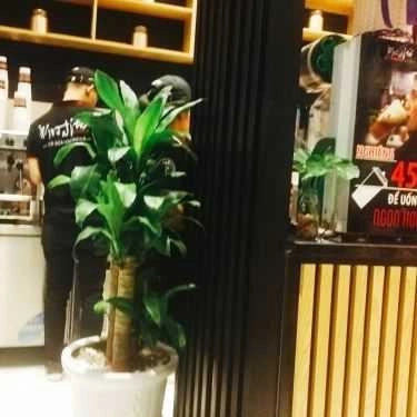 Tổng hợp- Cafe Xinshiqi - Nguyễn Trãi