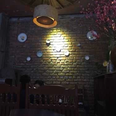 Tổng hợp- Xóm Cà Phê - Hoàng Đạo Thúy